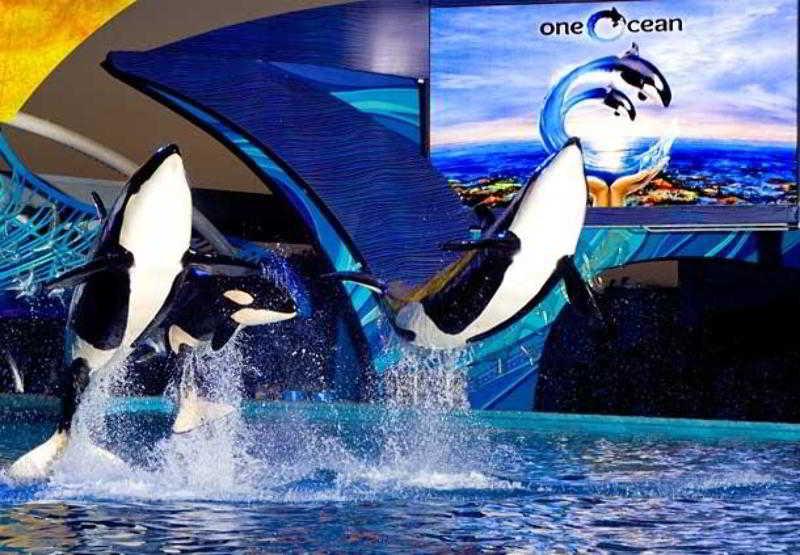 ホテル コートヤード サン アントニオ メディカル センター サンアントニオ エクステリア 写真